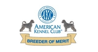 American Kennel Club Breeder of Merit